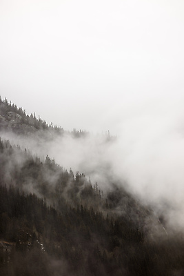 포토 JPG 해외이미지 나무 구름 계절 백그라운드 잎 자연 날씨 산 노르웨이 풍경 경사 사람없음 야외 환경 어둠 젖음 안개 흰색 소나무 황무지 분위기 숲 수분 언덕 침엽수 흐림 내추럴 뿌연 스칸디나비아 해외포토 자연요소 식물 유럽 컬러 컨셉 생태계 파일형식 이미지허브