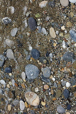 포토 JPG 해외이미지 동물 구름 라이프스타일 행복 바다 섬 여행 자연 하늘 휴가 산 풍경 사람없음 야외 초록색 물 파란색 활발 바위 만 남극 순수 언덕 펭귄 심플 장면 대서양 땅바닥 해외포토 자연요소 감정 컬러 컨셉 조류 바닥 생활 돌_바위 극지방 생태계 파일형식 이미지허브