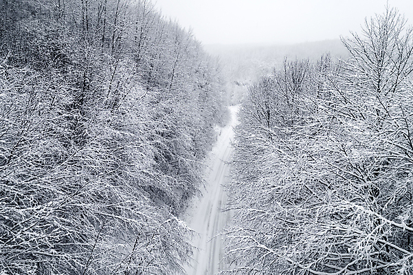 포토 JPG 해외이미지 나무 계절 도로 야생동물 여행 백그라운드 겨울 자동차 자연 하늘 날씨 스키 산 안테나 파노라마 풍경 사람없음 야외 목재 환경 냉동 얼음 추위 탐험 흰색 시골 신선 정상 숲 시원함 서리 내추럴 드론 뿌연 수평선 해외포토 자연요소 식물 동물 길 육상교통 컬러 재료 통신 교통시설 겨울스포츠 촬영기법 생태계 파일형식 이미지허브