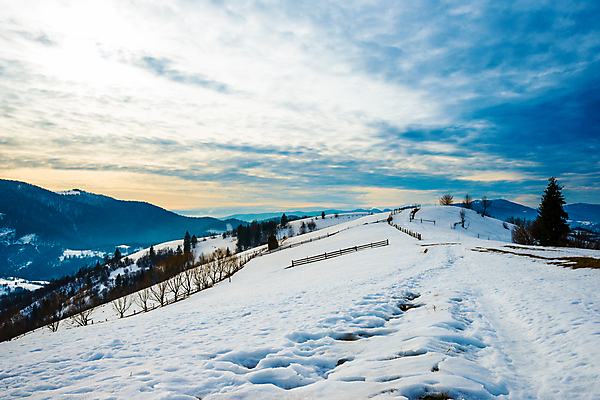 포토 JPG 해외이미지 나무 계절 유럽 여행 백그라운드 겨울 자연 하늘 휴가 산 파노라마 풍경 사람없음 야외 파란색 우주 환경 냉동 얼음 황혼 일몰 하이킹 추위 흰색 시골 야간 숲 신비 서리 북쪽 내추럴 산악지대 절정 폭설 눈내림 가문비나무 해외포토 자연요소 식물 나라 컬러 컨셉 레저 눈_날씨 촬영기법 노을 자연재해 방향 생태계 파일형식 이미지허브