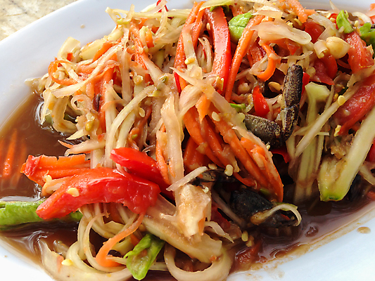 포토 JPG 해외이미지 음식 다이어트 채소 태국 요리 사람없음 식사 샐러드 뜨거움 맛 혼합 먹기 만족 매움 지역 섞기 영양분 입가심 짠맛 파파야 해외포토 감정 아시아 컨셉 모션 건강 열대과일 파일형식 이미지허브