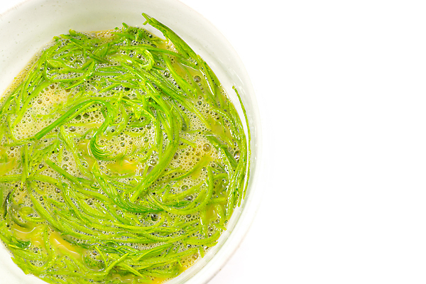 포토 JPG 해외이미지 식물 음식 잎 채소 건강 요리 사람없음 컵 초록색 계란 흰색 닫기 혼합 유기농 날것 고립 해외포토 식기 웰빙 컬러 모션 알 파일형식 이미지허브