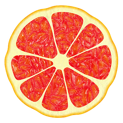 포토 JPG 해외이미지 식물 디자인 실루엣 음식 조각 백그라운드 패턴 다이어트 오렌지 과일 추상 건강 종류 사람없음 빨간색 초록색 여름 컬러풀 노란색 주스 활발 에너지 껍질 신선 원형 달콤 맛 수집 레몬 유기농 질감 라임 내추럴 고립 숙성 개조 해외포토 도형 웰빙 계절 음료 컬러 컨셉 무늬 촬영기법 파일형식 이미지허브