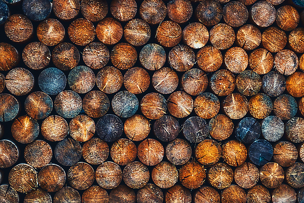 포토 JPG 해외이미지 나무 산업 벽 백그라운드 겨울 패턴 자연 불 추상 사람없음 야외 목재 갈색 쌓기 환경 에너지 시골 반지 소나무 원형 거친 그룹 주식 숲 장작 자르기 묘사 벽난로 질감 날것 통나무 나무껍질 연료 잡동사니 흙더미 내추럴 수목 옛날 해외포토 자연요소 도형 식물 계절 컬러 무늬 재료 장신구 모션 금융 흙 껍질 생태계 파일형식 더미 이미지허브