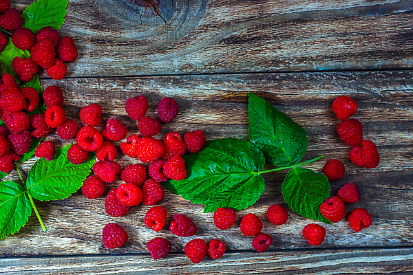 포토 JPG 해외이미지 열매 음식 백그라운드 잎 다이어트 과일 재료 자연 탁자 딸기 디저트 건강 사람없음 목재 가로 빨간색 초록색 식사 주스 활발 흰색 신선 그룹 달콤 맛 아침식사 먹기 상쾌 유기농 질감 블루베리 날것 산딸기 블랙베리 내추럴 고립 숙성 영양분 채식주의자 핸드메이드 해외포토 나무 식물 웰빙 감정 음료 컬러 가구 컨셉 모션 생태계 채식 파일형식 이미지허브
