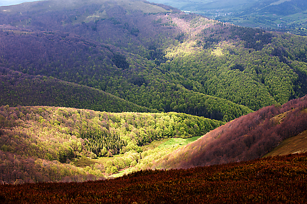 포토 JPG 해외이미지 나무 식물 공원 야생동물 여행 백그라운드 오렌지 자연 아침 휴가 산 파노라마 풍경 사람없음 야외 빨간색 초록색 여름 파란색 빛 컬러풀 햇빛 노란색 평화 일출 환경 계곡 황혼 일몰 봄 새벽 광선 가을 시골 황금 저녁 숲 땅 절정 해외포토 주간 자연요소 동물 계절 공공시설 컬러 컨셉 과일 촬영기법 태양 노을 야간 생태계 파일형식 이미지허브