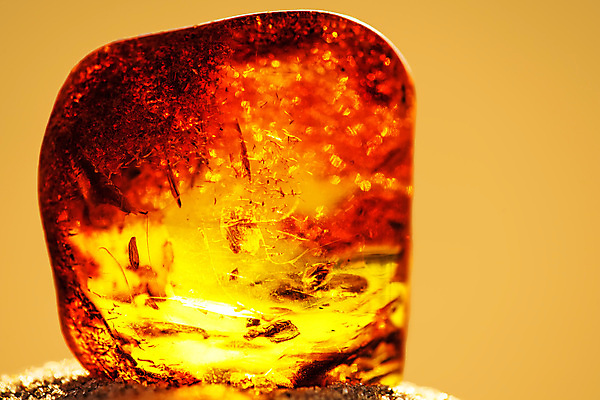 포토 JPG 해외이미지 자연 사람없음 빛 주황색 투명 보석 화석 앰버 해외포토 컬러 광석 생태계 파일형식 이미지허브