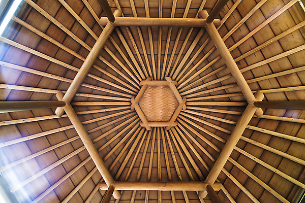 포토 JPG 해외이미지 식물 구름 디자인 계절 공원 선 벽 백그라운드 패턴 건축양식 자연 하늘 지붕 추상 주택 사람없음 야외 내부 건물 목재 빛 갈색 노란색 바구니 정원 일본 봄 원형 화려 도쿄 대나무 천장 질감 밀짚 옛날 해외포토 자연요소 도형 나무 건축물 공공시설 건축 아시아 컬러 컨셉 무늬 재료 짚 생태계 파일형식 이미지허브