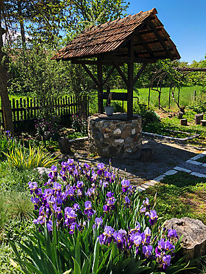 포토 JPG 해외이미지 전통 꽃 유럽 음료 농업 자연 지붕 주택 사람없음 목재 장식 초록색 물 여름 농장 갈색 마을 정원 보라색 수확 골동품 바위 시골 그리기 양동이 분수 복고 펌프 마케도니아 옛날 해외포토 자연요소 나무 식물 계절 나라 산업 컬러 재료 모션 건물 돌_바위 생태계 파일형식 남유럽 이미지허브