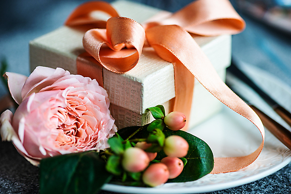 포토 JPG 해외이미지 접시 리본 포크 잎 근접촬영 사람없음 아웃포커스 선물상자 장미 나이프 꽃봉오리 해외포토 식물 식기 꽃 뷰포인트 촬영기법 선물 상자 칼 파일형식 이미지허브