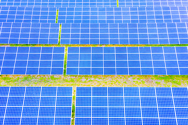 포토 JPG 해외이미지 식물 산업 과학 백그라운드 컨셉 패턴 밭 비즈니스 태국 자연 하늘 미래 세포 사람없음 초록색 파란색 빛 글로벌 햇빛 태양 반사 환경 맑음 힘 재활용 장비 발전기 에너지 판넬 에코 생태계 투자 태양에너지 시스템 청소부 세대 혁명 생태학 공급 획기적 해외포토 자연요소 직업 교육 아시아 컬러 무늬 농업 날씨 발전소 그린에너지 친환경 파일형식 이미지허브