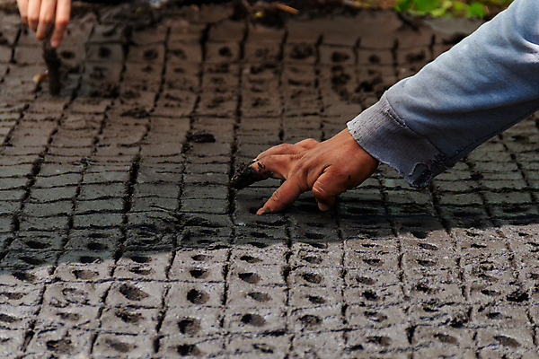 포토 JPG 해외이미지 식물 전통 남자 문화 지구 잎 밭 농업 자연 아침 씨앗 사람 풍경 사람없음 여름 농작물 농장 새싹 일출 환경 정원 흙 봄 수확 성장 시골 신선 작업 농부 유기농 원예 질감 조경 먼지 장면 땅바닥 모종 묘목 밭일 해외포토 주간 나무 직업 웰빙 계절 산업 바닥 취미 노을 생태계 파일형식 이미지허브