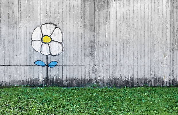 포토 JPG 해외이미지 디자인 꽃 벽 백그라운드 컨셉 패턴 표면 거리 창조 미술 사람없음 초록색 파란색 노란색 우주 페인트 수확 흰색 시골 도시 캔 그래피티 싱글 질감 복고 데이지 예술가 분무기 고립 그런지 콘크리트 획기적 해외포토 식물 컬러 무늬 농업 문화예술 낙서 그림 파일형식 이미지허브