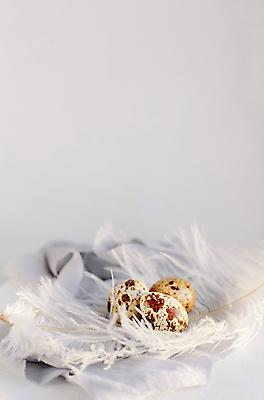 포토 JPG 해외이미지 열매 행복 리본 봄꽃 사람없음 축하 생일 실크 깃털 부활절계란 해외포토 식물 기념일 꽃 감정 컨셉 부활절 계란 봄 직물 파일형식 이미지허브