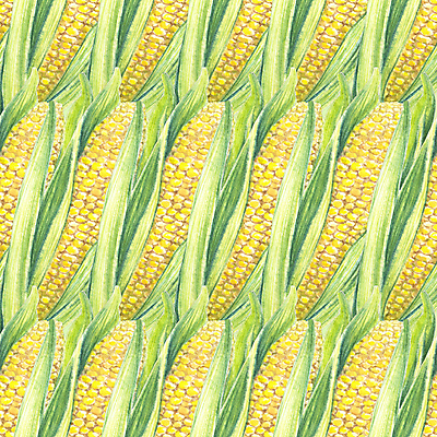 포토 JPG 해외이미지 식물 손 디자인 음식 백그라운드 잎 패턴 농업 다이어트 채소 일러스트 재료 자연 벽지 수채화 건강 옥수수 요리 미술 씨앗 사람없음 그래픽 장식 초록색 여름 농장 정원 페인트 수확 직물 신선 그리기 달콤 먹기 메뉴 그림 유기농 질감 날것 내추럴 밭일 숙성 채식주의자 비건 해외일러스트 웰빙 계절 산업 컬러 무늬 모션 문화예술 곡류 신체부위 맛 생태계 채식 파일형식 이미지허브