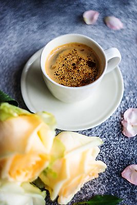 포토 JPG 해외이미지 꽃잎 커피 회색배경 사람없음 장미 커피잔 컵받침 해외포토 꽃 음료 백그라운드 잔 회색 받침대 파일형식 이미지허브