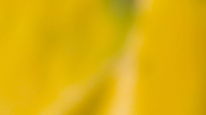 포토 JPG 해외이미지 템플릿 디자인 배너 포스터 벽 백그라운드 컨셉 패턴 오렌지 자연 벽지 추상 따뜻함 미술 경사 사람없음 그래픽 장식 빛 컬러풀 태양 노란색 우주 맑음 검은색 공백 신용카드 황금 우아함 매끈함 질감 부드러움 내추럴 블러 스타일 효과 해외포토 자연요소 컬러 무늬 과일 날씨 문화예술 금융 감각 생태계 파일형식 이미지허브