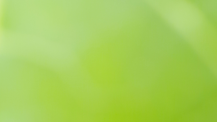 포토 JPG 해외이미지 나무 식물 템플릿 배너 계절 지구 백그라운드 잎 자연 벽지 추상 휴식 경사 사람없음 그래픽 초록색 빛 햇빛 태양 환경 정원 봄 에너지 흰색 신선 매끈함 소프트포커스 질감 보케 부드러움 개발 바이오 블러 생태학 그리너리 효과 해외포토 자연요소 교육 컬러 컨셉 무늬 촬영기법 감각 생태계 파일형식 트랜드컬러 이미지허브