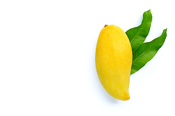 포토 JPG 해외이미지 잎 실내 사람없음 한개 열대과일 흰배경 망고 카피스페이스 해외포토 식물 1 백그라운드 과일 내부 공백 흰색 파일형식 이미지허브