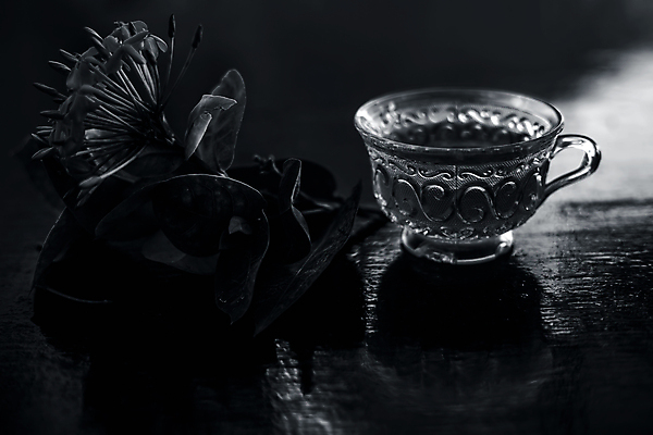 포토 JPG 해외이미지 음료 음식 백그라운드 잎 겨울 자연 유리 건강 사람없음 목재 컵 초록색 노란색 검은색 봄 카페 머그컵 신선 뜨거움 도자기 액체 아침식사 약초 그래피티 냄비 찻잔 인도인 허브 컵받침 상쾌 아로마 꿀 서쪽 카페인 해외포토 외국인 나무 식물 식기 계절 감정 컬러 재료 재질 잔 동양인 상점 식사 풀_식물 낙서 솥 방향 받침대 그림 생태계 파일형식 이미지허브