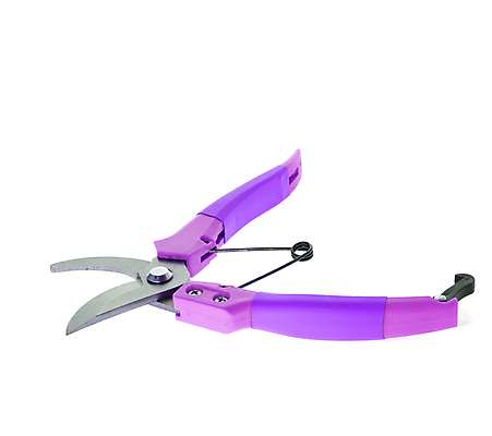 포토 JPG 해외이미지 나무 식물 손 백그라운드 새로움 손잡이 사람없음 금속 정원 보라색 힘 장비 흰색 나뭇가지 공구 업무 칼날 자르기 제비꽃 오브젝트 원예 날카로움 손질 고립 다듬기 원예사 해외포토 직업 꽃 컬러 컨셉 모션 재질 취미 신체부위 도구 작업 파일형식 이미지허브