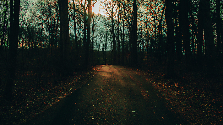 포토 JPG 해외이미지 계절 도로 길 여행 잎 오렌지 자국 자연 휴식 요정 풍경 사람없음 목재 빛 햇빛 평화 걷기 맑음 일몰 활발 하이킹 탐험 안개 광선 가을 신비 오솔길 공상 마법 삼림지대 몽환 해외포토 나무 식물 컨셉 과일 재료 교통시설 모션 레저 날씨 태양 노을 숲 생태계 파일형식 이미지허브