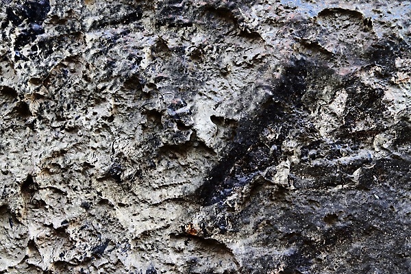 포토 JPG 해외이미지 나무 디자인 벽 백그라운드 패턴 건축양식 자연 유리 벽지 표면 사람없음 물 갈색 검은색 어둠 공백 회색 수확 거친 균열 닫기 떨어짐 묘사 질감 대리석 시멘트 그런지 석고 옛날 콘크리트 화강암 카피스페이스 해외포토 자연요소 식물 건축 컬러 컨셉 무늬 농업 재료 모션 재질 암석 생태계 파일형식 이미지허브