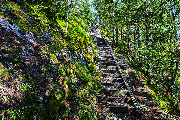 포토 JPG 해외이미지 나무 구름 유럽 길 포즈 백그라운드 자국 휴가 산 파노라마 그림자 사람없음 야외 관광지 계곡 침묵 폭포 하이킹 흐름 소나무 그룹 오스트리아 정상 숲 오솔길 방향 폭풍 통과 방법 벌거벗은 비포장도로 뿌연 절정 해외포토 자연요소 식물 나라 도로 여행 컨셉 자연 레저 날씨 촬영기법 소리 파일형식 이미지허브