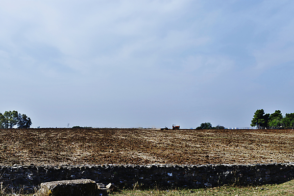 포토 JPG 해외이미지 나무 계절 산업 지구 백그라운드 밭 농업 자연 풍경 사람없음 야외 초록색 농작물 햇빛 농장 농경지 갈색 환경 기계 수확 성장 시골 업무 작업 농부 땅 만취 트랙터 땅바닥 밭일 쟁기 세련 해외포토 식물 직업 컬러 바닥 태양 농기계 생태계 특수차량 술취함 파일형식 이미지허브