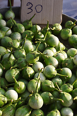 포토 JPG 해외이미지 식물 음식 백그라운드 농업 다이어트 채소 재료 태국 자연 건강 요리 사람없음 초록색 쌓기 주방 식사 수확 시골 신선 시장 맛 먹기 유기농 날것 섬유 내추럴 채식주의자 많음 비건 해외포토 웰빙 산업 아시아 컬러 컨셉 모션 직물 생태계 채식 파일형식 이미지허브