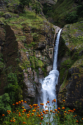 포토 JPG 해외이미지 나무 식물 모션 자연 사람없음 야외 물 환경 폭포 흐름 숲 땅 장노출 고체 해외포토 자연요소 컨셉 촬영기법 생태계 파일형식 이미지허브