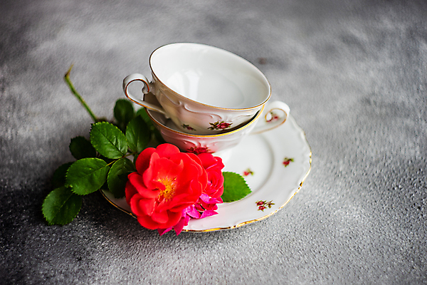 포토 JPG 해외이미지 잎 회색배경 사람없음 장미 쌓기 찻잔 컵받침 해외포토 식물 꽃 백그라운드 모션 잔 회색 받침대 파일형식 이미지허브