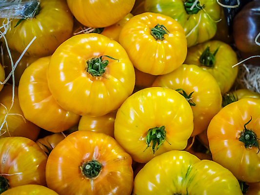 포토 JPG 해외이미지 잡화 음식 농업 다이어트 토마토 채소 잉글랜드 건강 요리 사람없음 여름 노란색 세일 쌓기 상점 식사 성장 신선 원형 시장 달콤 맛 농부 먹기 유기농 생태계 날것 포도나무 모음 성분 소매 슈퍼마켓 점심식사 숙성 영양소 채식주의자 많음 해외포토 도형 직업 웰빙 계절 산업 컬러 컨셉 모션 영국 과일나무 채식 파일형식 이미지허브