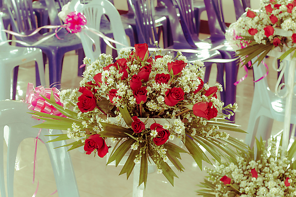 포토 JPG 해외이미지 기념일 꽃잎 꽃 길 분홍색 꽃다발 결혼 꽃무늬 의자 오렌지 결혼식 기념 선물 사랑 미술 이벤트 사람없음 야외 장식 빨간색 장미 봄 골동품 벚꽃 흰색 시골 축하 배열 크림 만족 통로 파스텔톤 몽환 카피스페이스 해외포토 식물 계절 감정 컬러 가구 컨셉 무늬 과일 문화예술 공백 파일형식 이미지허브