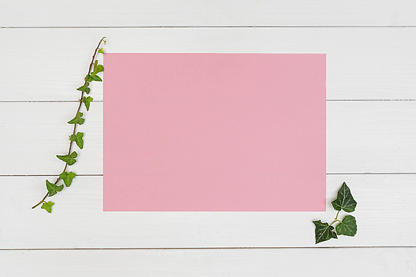 포토 JPG 해외이미지 디자인 종이 분홍색 백그라운드 컨셉 잎 비즈니스 텍스트 학교 탁자 아이디어 미술 사람없음 목재 책 컬러풀 사무실 갈색 우주 쪽지 공책 공백 흰색 기록 업무 그리기 메시지 정상 스케치 책상 오브젝트 그림 질감 문서 페이지 시트 해외포토 나무 식물 교육 컬러 가구 재료 모션 문화예술 문구용품 작업 파일형식 이미지허브