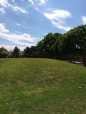 포토 JPG 해외이미지 나무 식물 구름 공원 얼굴 음식 백그라운드 밭 인터넷 가족 하늘 추상 거리 사랑 미술 서기 사람 사람없음 야외 초록색 파란색 친구 노트북 스마트폰 울타리 사무실 유행 기차 도시 큼 책상 언덕 사인 경영자 질감 고립 돌봄 선로 스타일 해외포토 자연요소 공공시설 감정 육상교통 컬러 가구 무늬 농업 비즈니스 관계 모션 문화예술 대중교통 신체부위 전자제품 핸드폰 스마트기기 담장 크기 리더 파일형식 이미지허브