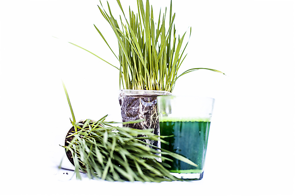 포토 JPG 해외이미지 식물 음료 음식 밭 농업 다이어트 자연 건강 사람없음 초록색 농장 새싹 환경 정원 주스 봄 수확 성장 시골 신선 밀 허브 유기농 날것 턱 내추럴 고립 바이오 디톡스 비건 해외포토 웰빙 계절 산업 컬러 곡류 생태계 채식주의자 파일형식 이미지허브