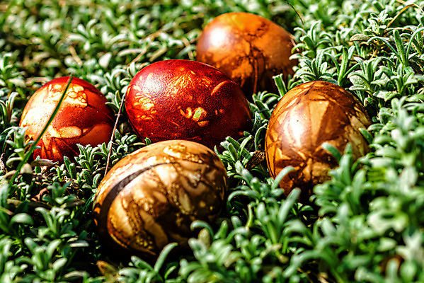 포토 JPG 해외이미지 전통 디자인 계절 종교 음식 컨셉 꽃무늬 밭 오렌지 자연 휴가 부활절 잔디 사람없음 야외 장식 초록색 컬러풀 햇빛 태양 노란색 계란 축제 페인트 봄 활발 축하 신선 그리기 변화 4월 수집 심볼 사냥 내추럴 숨기 해외포토 자연요소 식물 기념일 꽃 컬러 무늬 농업 과일 모션 알 날짜 생태계 파일형식 이미지허브