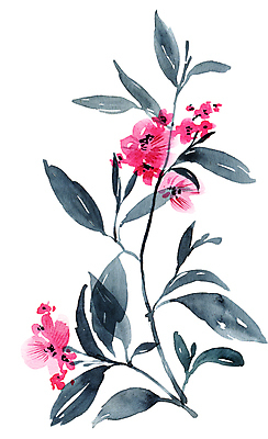 포토 JPG 해외이미지 꽃잎 분홍색 잎 자연 붓터치 수채화 사람없음 번짐 해외포토 식물 꽃 컬러 생태계 파일형식 효과 이미지허브