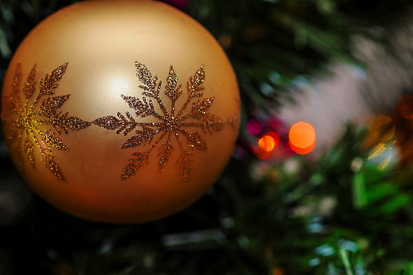 포토 JPG 해외이미지 나무 계절 크리스마스 겨울 패턴 전구 공 유리 휴가 기념 매달리기 사람없음 장식 빛 반짝임 크리스마스트리 반사 축제 거품 장식볼 축하 원형 눈송이 화려 황금 12월 묘사 전나무 여의주 카피스페이스 해외포토 도형 식물 기념일 컨셉 무늬 모션 재질 눈_날씨 공백 날짜 파일형식 이미지허브