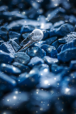 포토 JPG 해외이미지 장신구 실내 사람없음 조약돌 반지 화려 우아함 보석 파란배경 진주 해외포토 백그라운드 컨셉 내부 파란색 돌_바위 광석 파일형식 이미지허브