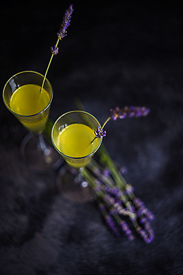 포토 JPG 해외이미지 꽃 주류 실내 사람없음 아웃포커스 두잔 라벤더 해외포토 식물 음료 2 촬영기법 내부 허브 파일형식 이미지허브