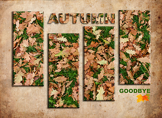 포토 JPG 해외이미지 계절 꽃 유럽 포스터 종이 벽 백그라운드 잎 텍스트 창문 자연 유물 프레임 미술 사람없음 그래픽 초록색 단어 매력적 슬픔 수확 달력 골동품 가을 황금 디자이너 이별 편지 그림 질감 복고 그런지 슬로건 옛날 파피루스 스타일 해외포토 식물 직업 문자 전통 감정 나라 컬러 컨셉 농업 문화예술 생태계 파일형식 이미지허브