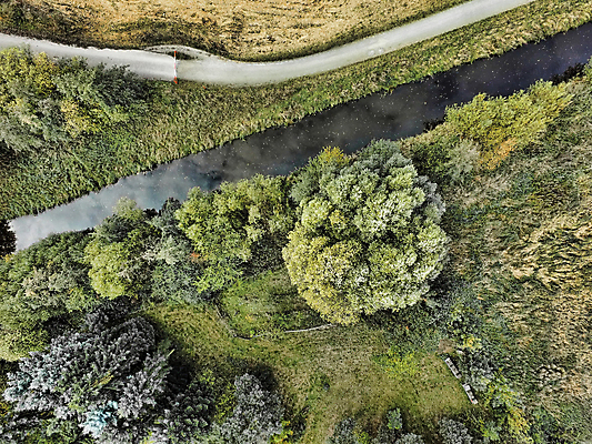 포토 JPG 해외이미지 나무 백그라운드 밭 농업 자연 하늘 안테나 풍경 사람없음 야외 목재 가로 초록색 물 농작물 강 농장 농경지 환경 정원 흐름 탐험 시골 신선 개울 소 숲 땅 생태계 운하 지역 내추럴 드론 직진 해외포토 자연요소 식물 산업 컬러 컨셉 재료 통신 포유류 파일형식 이미지허브