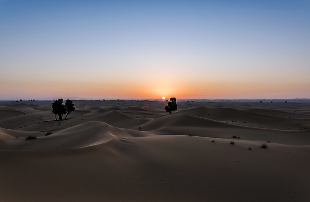 포토 JPG 해외이미지 지구 모래 여행 백그라운드 오렌지 자연 하늘 아침 휴가 건조 파노라마 풍경 사람없음 야외 빨간색 빛 환경 사막 탐험 뜨거움 거친 황금 땅 모래언덕 사파리 장면 아라비아 사하라 내추럴 아랍에미리트 두바이 오지 수평선 해외포토 주간 컬러 과일 중동 아프리카 촬영기법 언덕 생태계 파일형식 이미지허브