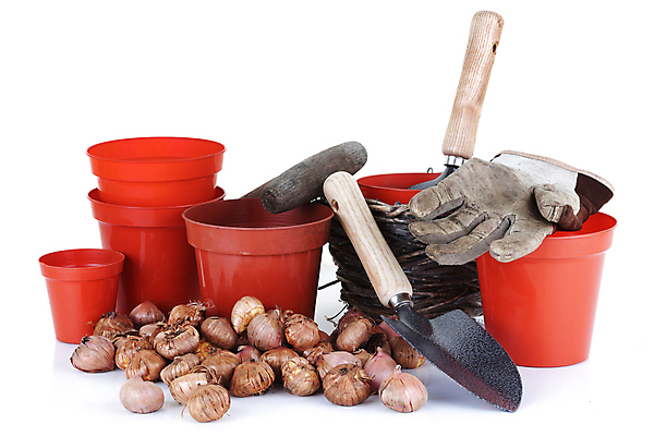 포토 JPG 해외이미지 식물 꽃 화분 줄기 백그라운드 컨셉 잎 꽃무늬 전구 자연 추상 새로움 아이디어 건강 사람없음 빨간색 세로 초록색 파란색 정원 봄 성장 흰색 공구 캔 냄비 작음 컨테이너 삽 물주기 원예 내추럴 개발 고립 돌봄 히아신스 세련 해외포토 계절 산업 컬러 무늬 모션 취미 도구 솥 크기 생태계 파일형식 이미지허브