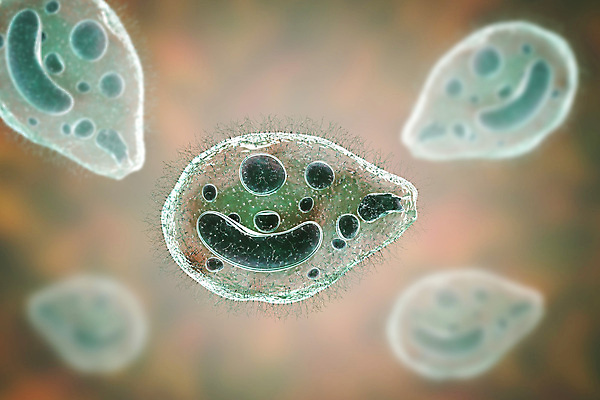 포토 JPG 해외이미지 음료 음식 일러스트 사람 사람없음 물 약 3D 생물학 감염 전염 미생물 기생충 해외일러스트 자연요소 교육 의학 생물 바이러스 질병 디지털합성 파일형식 이미지허브