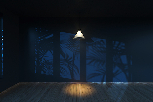 포토 JPG 해외이미지 잎 조명 그림자 사람없음 내부 빛 인테리어 3D 어둠 공간 남색 해외포토 식물 디자인 컬러 디지털합성 파일형식 이미지허브