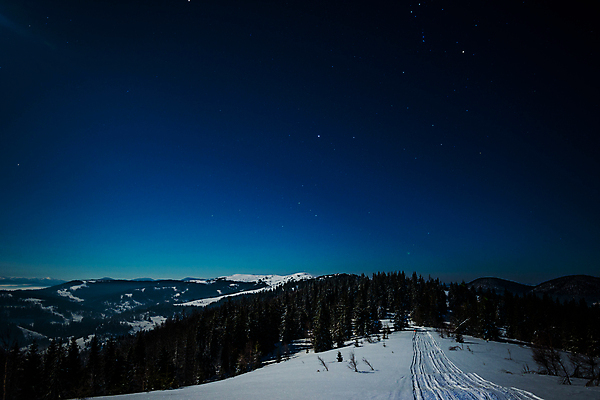 포토 JPG 해외이미지 나무 계절 별 과학 백그라운드 겨울 자연 하늘 휴가 불꽃 산 풍경 사람없음 파란색 우주 환경 검은색 어둠 꿈 안개 성장 야간 숲 신비 달빛 언덕 코스모스 서리 은하계 점성술 공상 마법 전나무 별빛 성운 내추럴 깊이 눈내림 가문비나무 해외포토 자연요소 식물 꽃 컬러 컨셉 불 날씨 눈_날씨 빛 달 생태계 파일형식 이미지허브