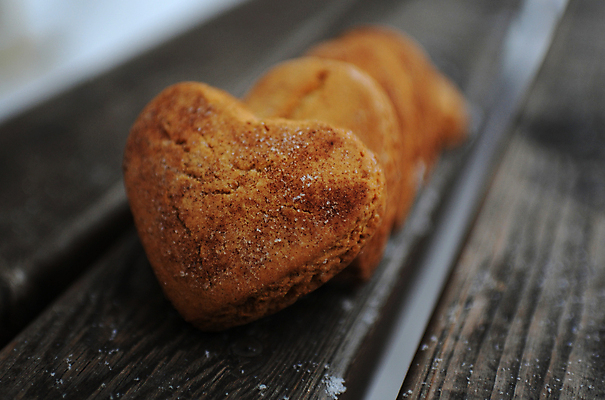 포토 JPG 해외이미지 모양 음식 백그라운드 크리스마스 겨울 휴가 디저트 발렌타인데이 사랑 사람없음 목재 파란색 갈색 쿠키 흰색 하트 달콤 심볼 고립 소셜네트워크 시나몬 스타일 해외포토 나무 계절 기념일 감정 컬러 재료 데이이벤트 맛 파일형식 이미지허브
